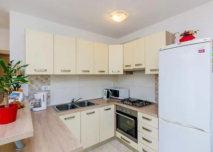 Maurora * زاتون