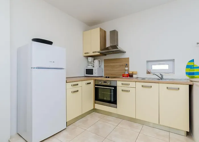 Maurora * زاتون